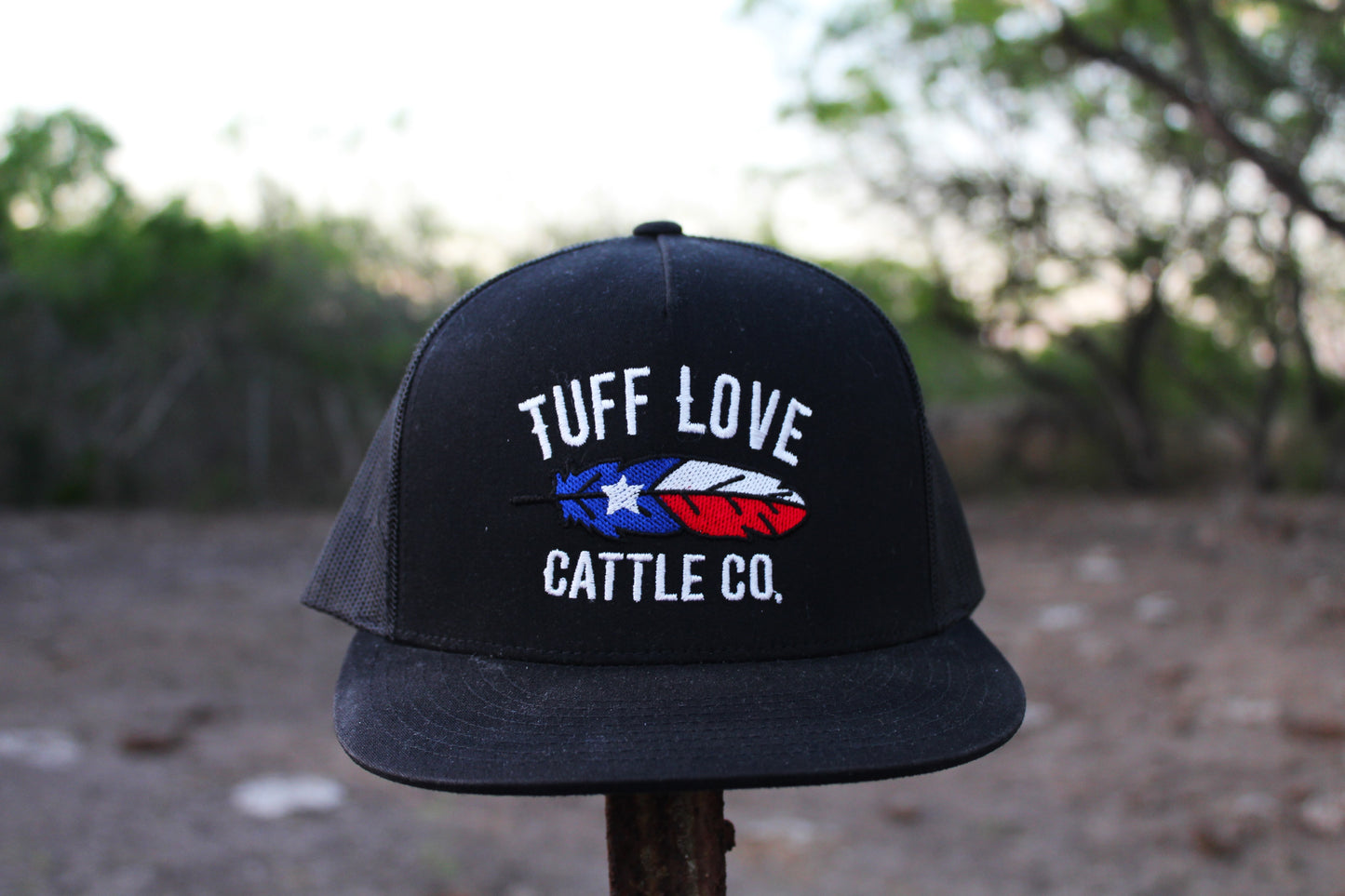 Texas Feather Hat